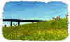 indx06.jpg - 1.6 K